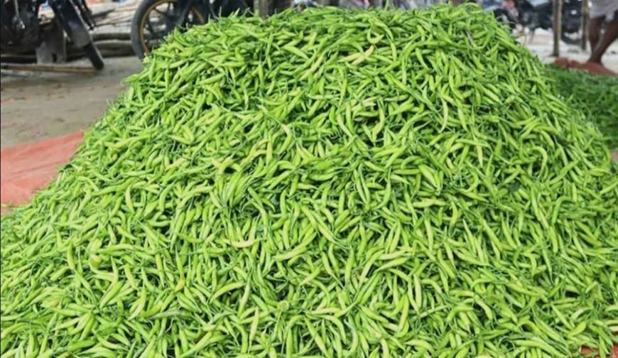 ২৪ টাকায় কেনা ভারতীয় মরিচ ভোক্তার হাতে পৌঁছাতে খরচ ১৩৫ টাকা