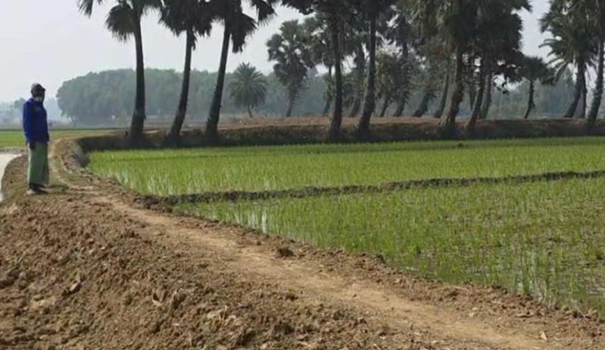 ১২জনেই এক গ্রাম