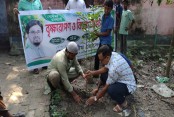 মণিরামপুরের ভোজগাতি ইউনিয়নে মাসব্যাপী বৃক্ষরোপণ শুরু